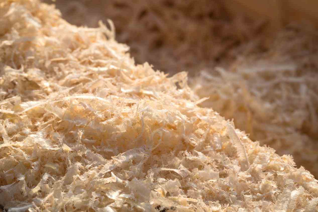 预计12月越南木材及木制品出口额将继续超过10亿美元